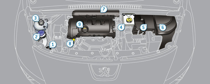 The various caps and covers allow access for checking the levels of the various