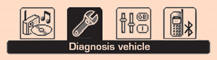 On the " Diagnosis vehicle " menu, select the following application: