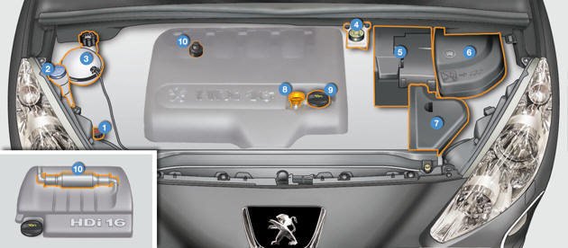 The various caps and covers allow access for checking the levels of the various