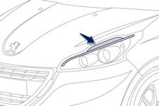 They come on when the engine is started. Depending on the destination country,