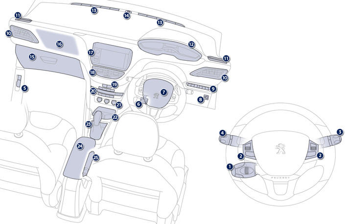 1. Cruise control / speed limiter controls.